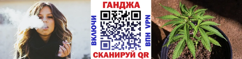 Виды наркотиков купить Венёв КОКАИН  Канабис  Меф мяу мяу  NBOMe  kraken маркетплейс  A-PVP  Псилоцибиновые грибы  ГАШИШ 