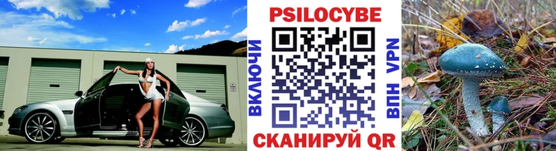 купить Венёв Псилоцибиновые грибы Cubensis