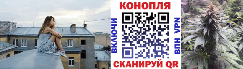 Каннабис ГИДРОПОН  Венёв 